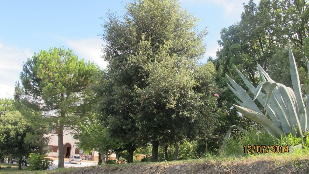 Locanda Al Coppo Monte Grimano Terme Esterno foto